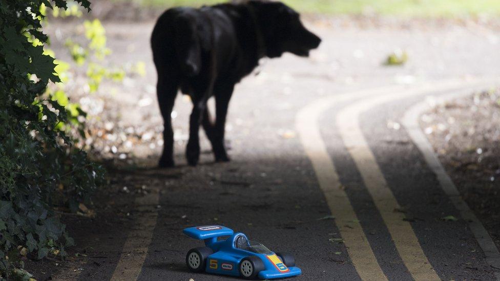 a dog and a toy car on the road with the yellow lines