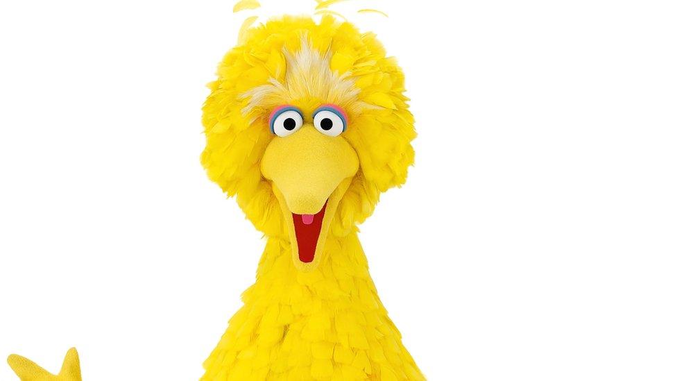 big bird