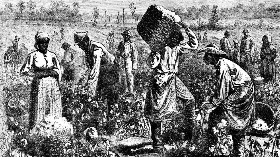 Slaves working on a plantation