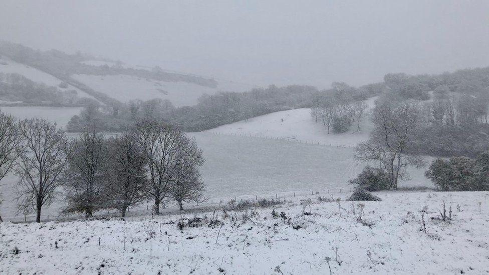 Snow covered rolling fields and trees