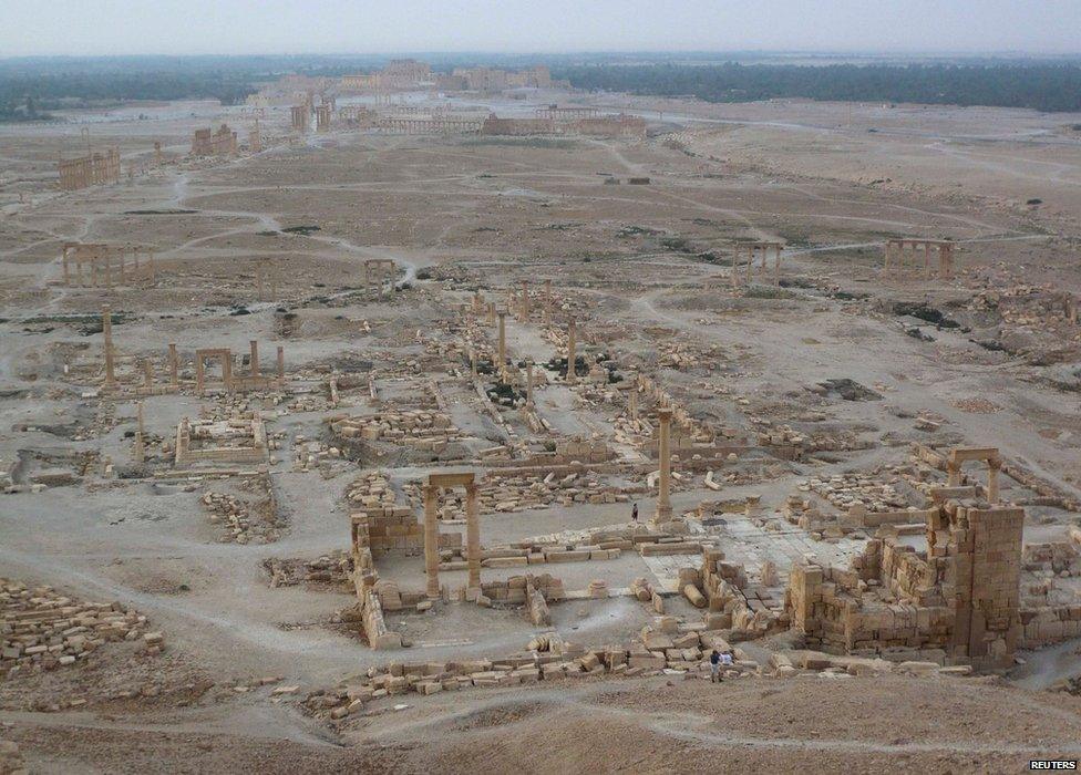 General view of Palmyra (5 August 2010)