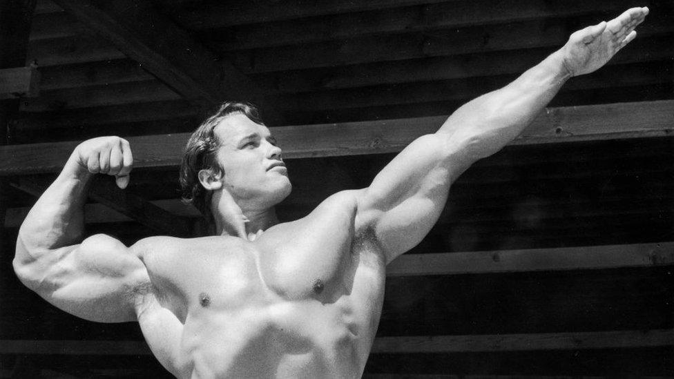 arnold-schwarzenegger.