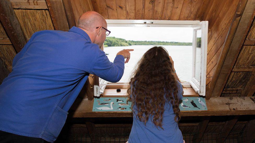 A back view of a man and a girl in Ranworth's visitor centre. The man is wearing a blue shirt and is pointing to something seen through the window. The girl has long mid-brown hair and appears to be holding up binoculars. Through the window in front of her is a broad lake, edged by trees. 