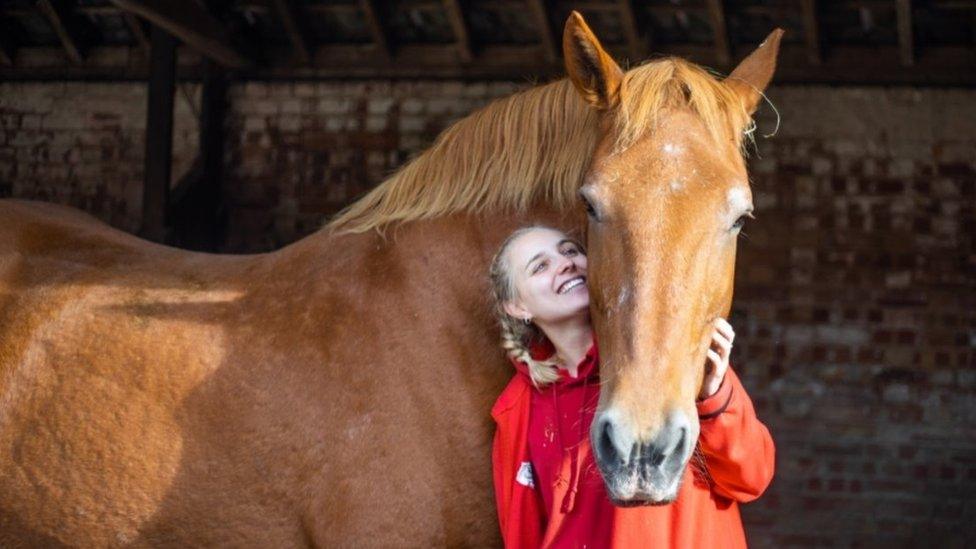 Horse with woman