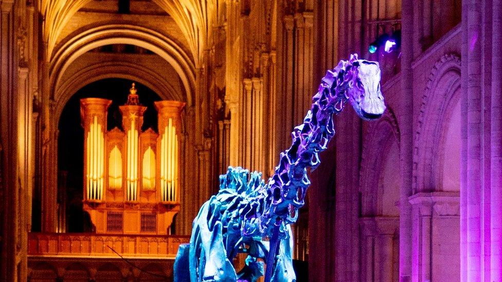 Illuminated Dippy the dinosaur