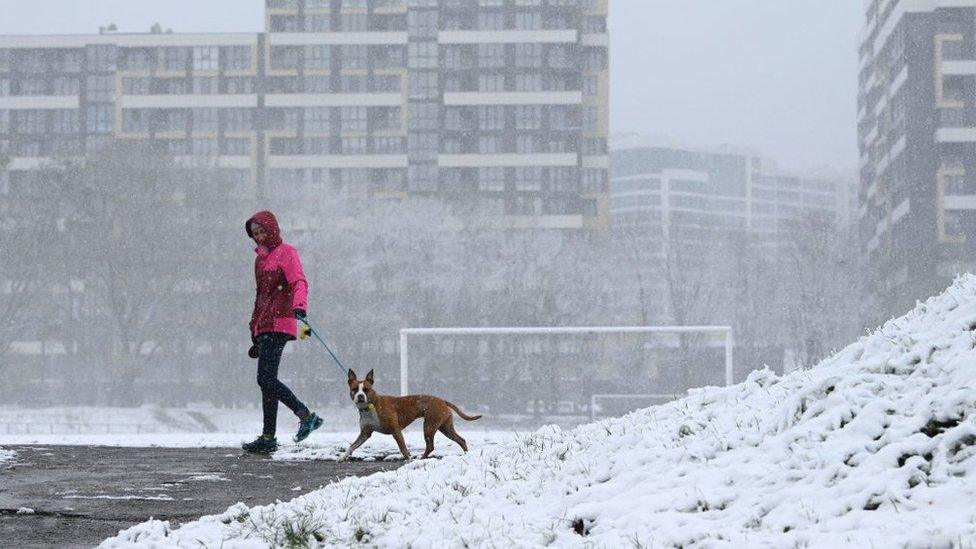 A woman walks her dog across a snowy park in Lviv, Ukraine