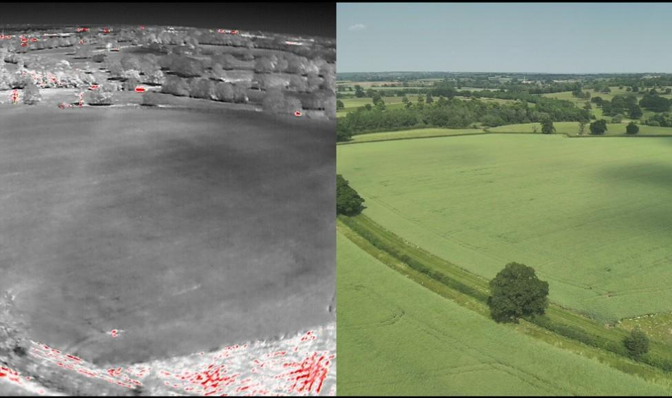 Thermal and standard drone images