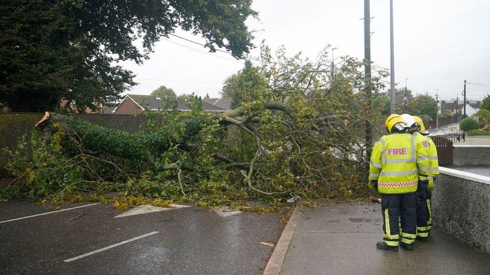 Emergency services at the scene of a fallen tree near Blackrock in Cork