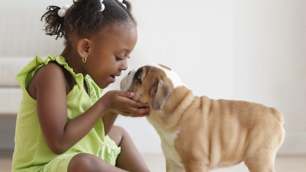 girl holding dogs face