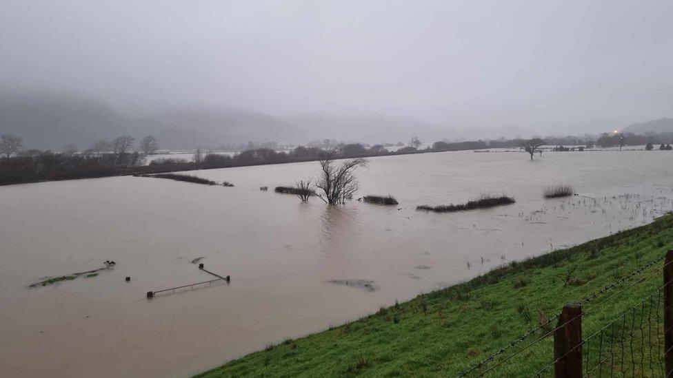 Roedd llifogydd yn amlwg yn ardal Dyffryn Dyfi fore Sul