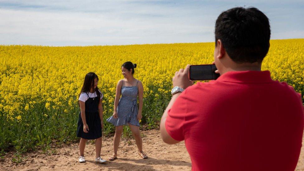 A father takes pictures of his children in front of a canola field in Harden, New South Wales