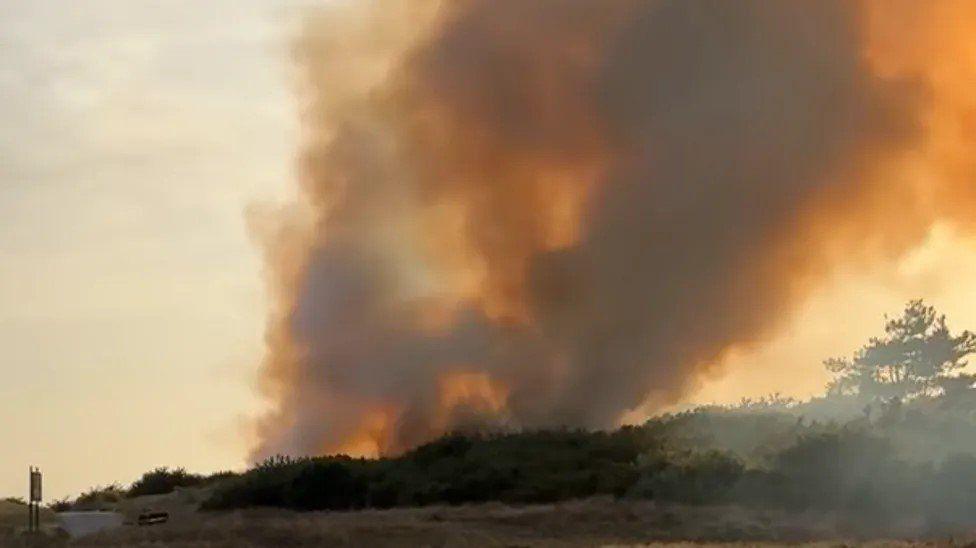 Plumes of smoke coming from heathland against an orange sky