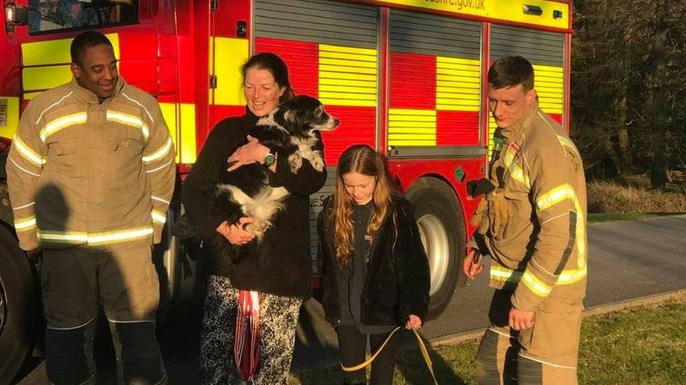 Zac the dog with owner and firefighters