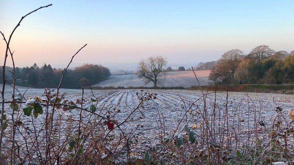 Frost-kissed fields at Beacon Hill, Lickey