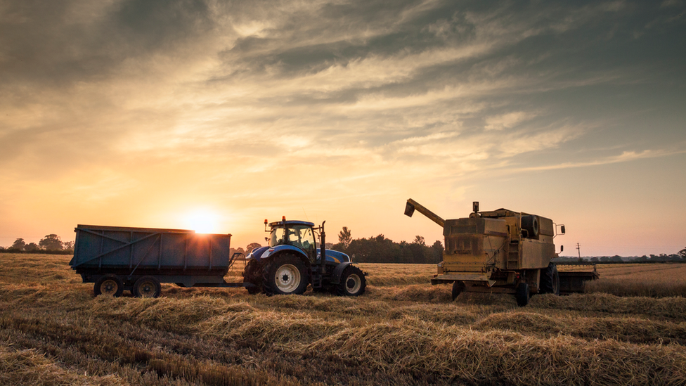 tractor in a field