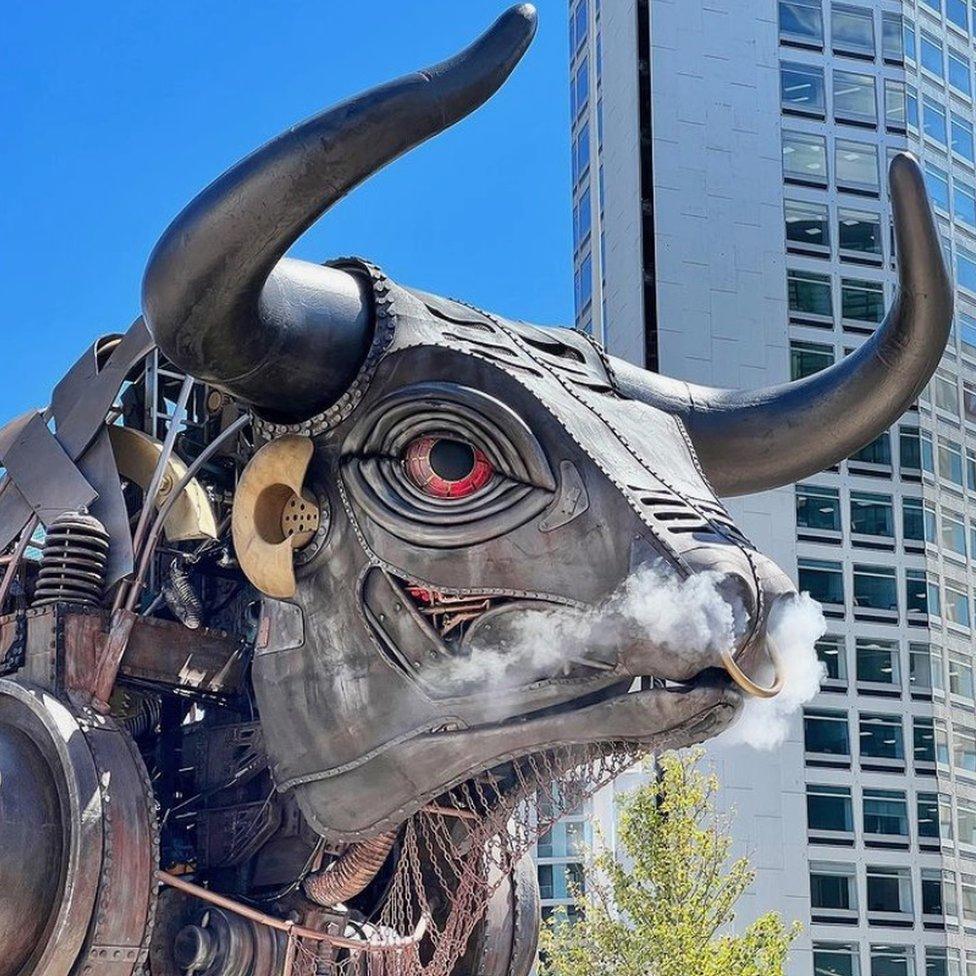 Birmingham bull