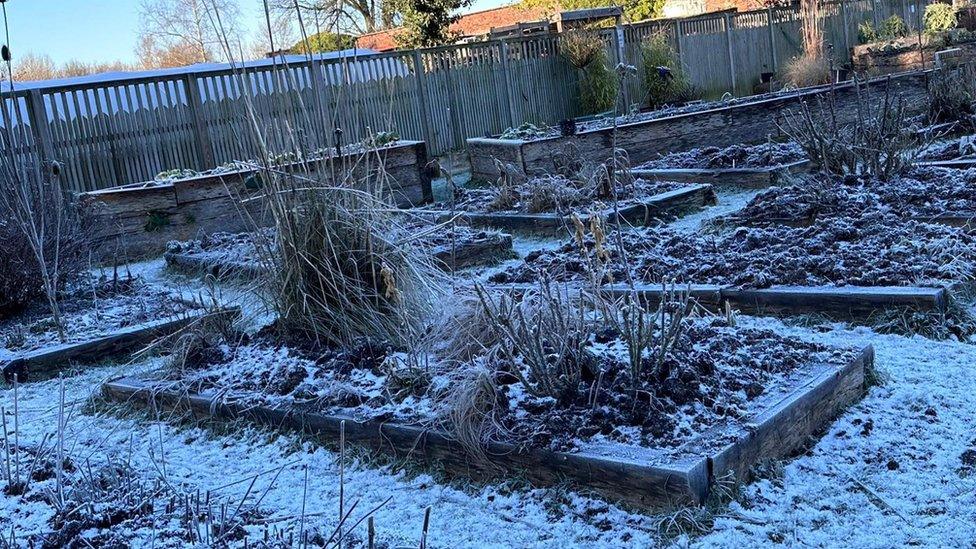 Raised beds covered in a blanket of snow at Ashton Park in Preston