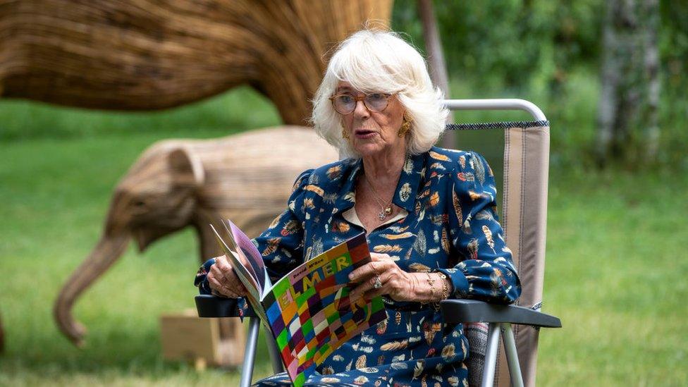 Queen Camilla reading Elmer