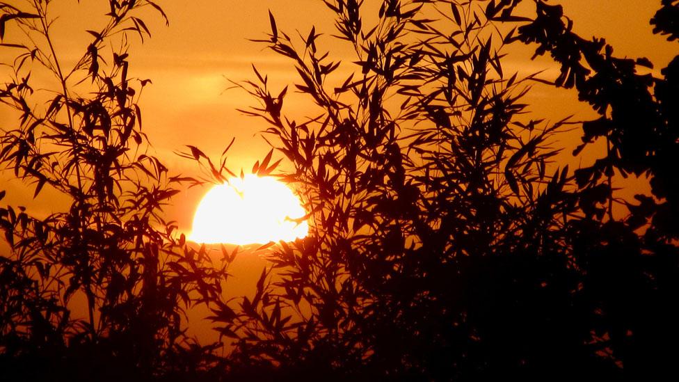 Sunrise at Waterbeach, Cambridgeshire