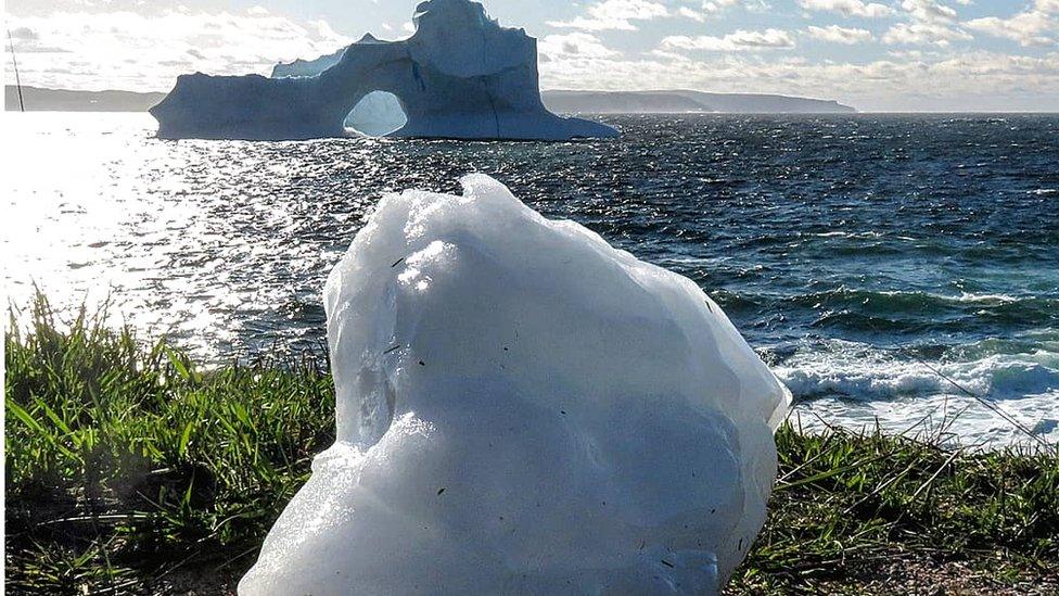 An iceberg off Newfoundland's coast