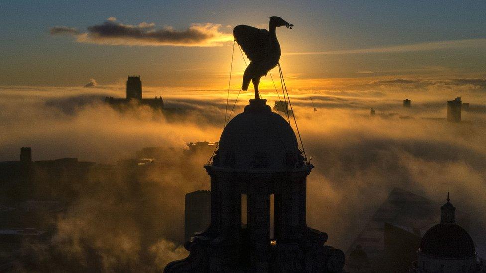 Sunrise over Liver Building