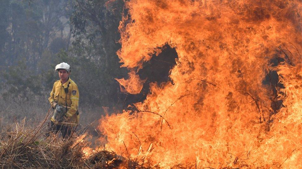 A firefighter next to a fire at Long Gully Road in northern New South Wales on 9 September