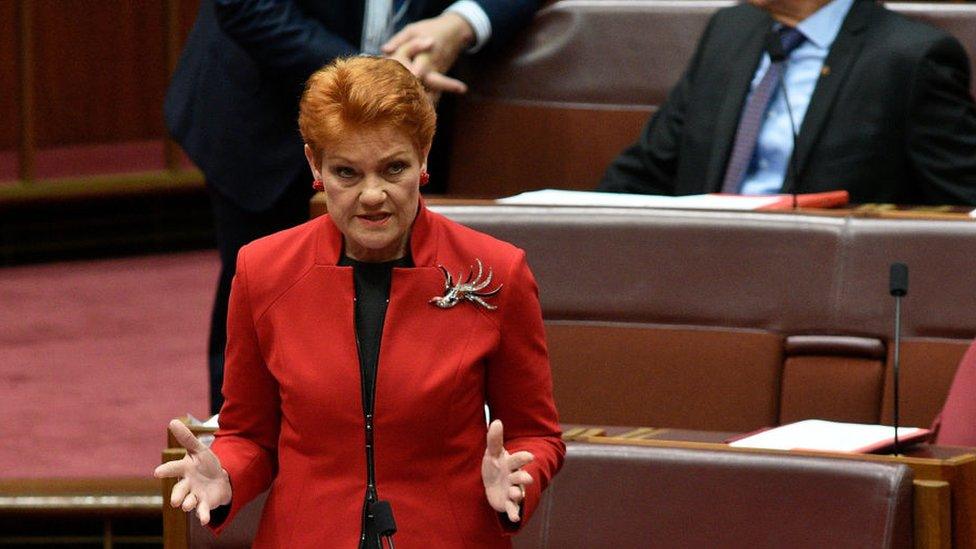 Pauline Hanson addresses the Senate at Parliament House on November 28, 2017 in Canberra, Australia