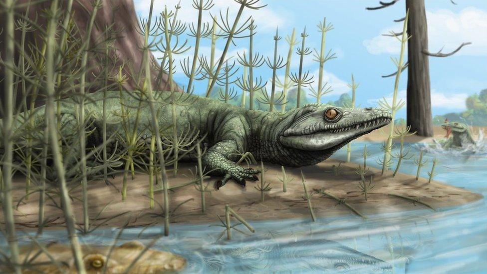 The reptile lived near lakes and rivers, feeding on smaller reptiles