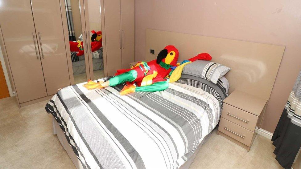 The parrot chills out in his spacious double bedroom