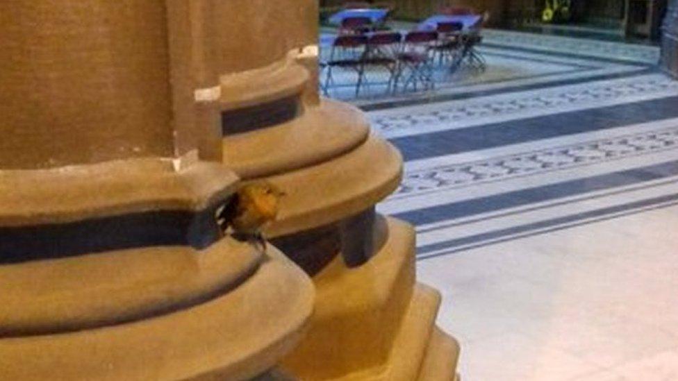 Robin in Liverpool Cathedral