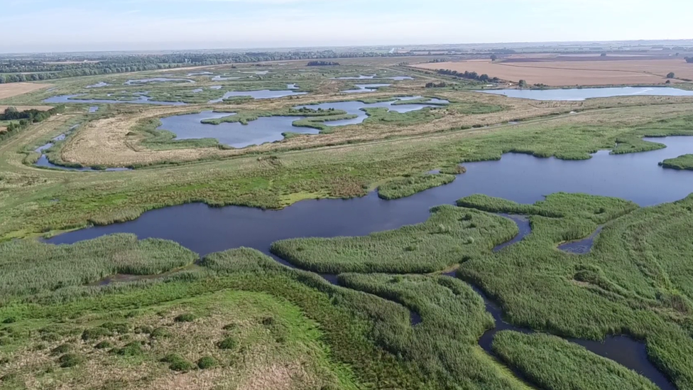 RSPB Ouse Fen