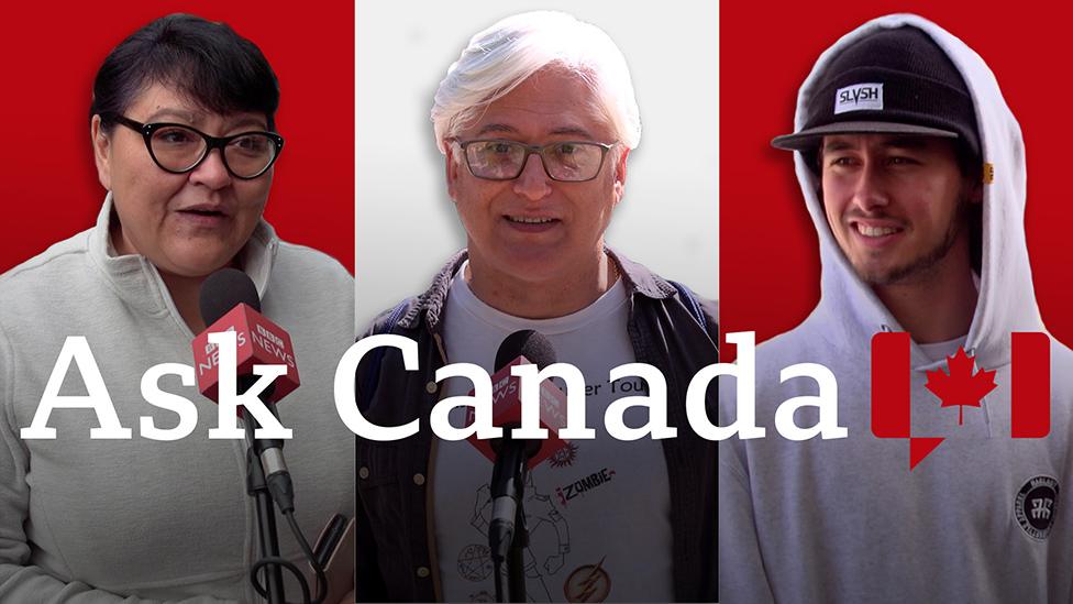 Ask Canada composite of voters