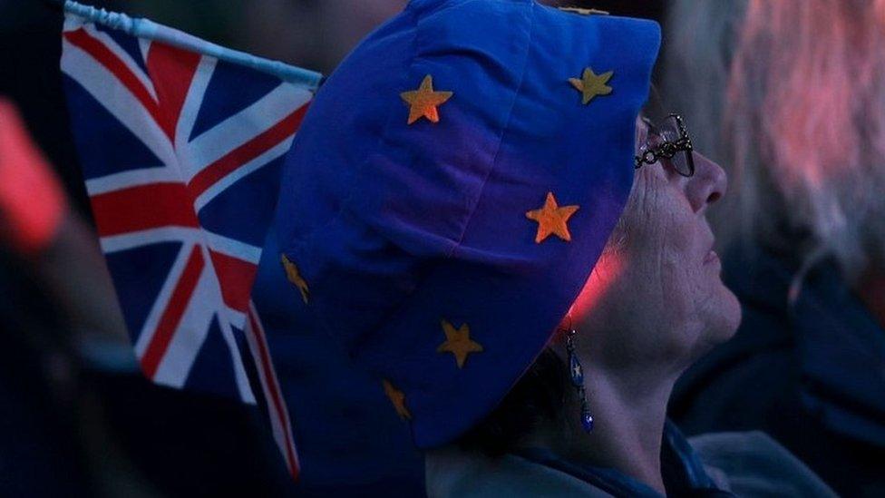 Pro-EU supporter at a event in Dover