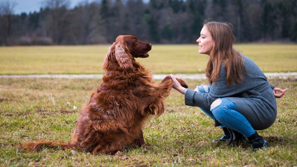 dog-treat.