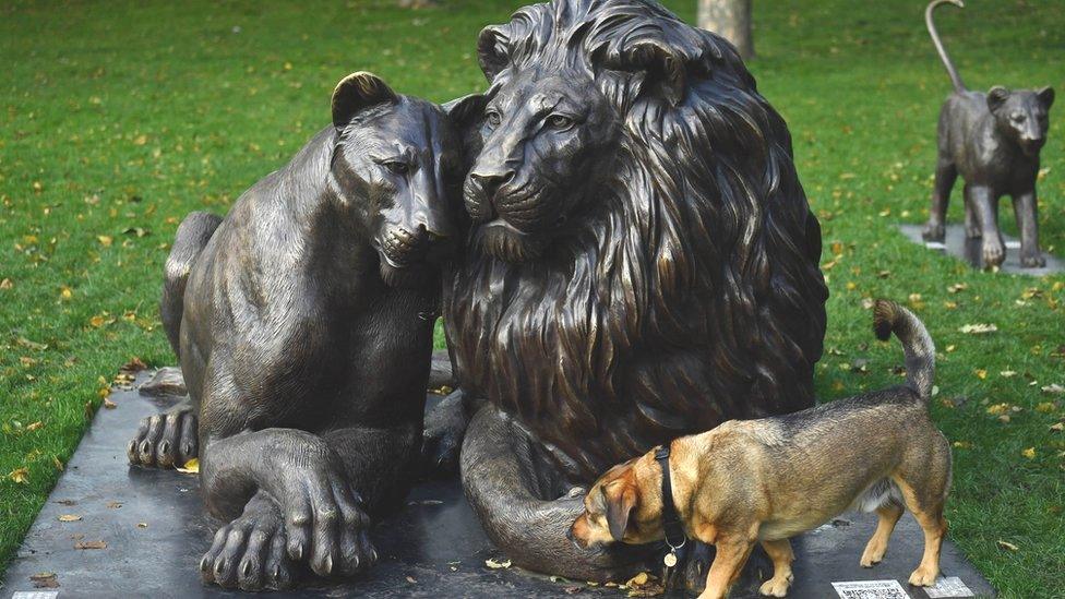 Two lion statues and a dog