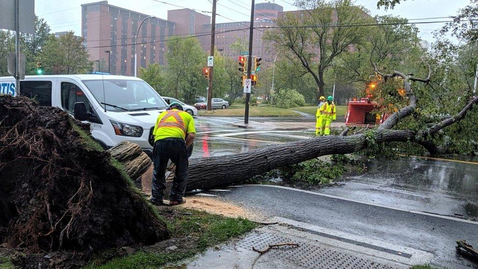 A tree lies on the road after Storm Dorian slammed into Canada's Atlantic coast on Saturday in Halifax, Canada, September 7, 2019