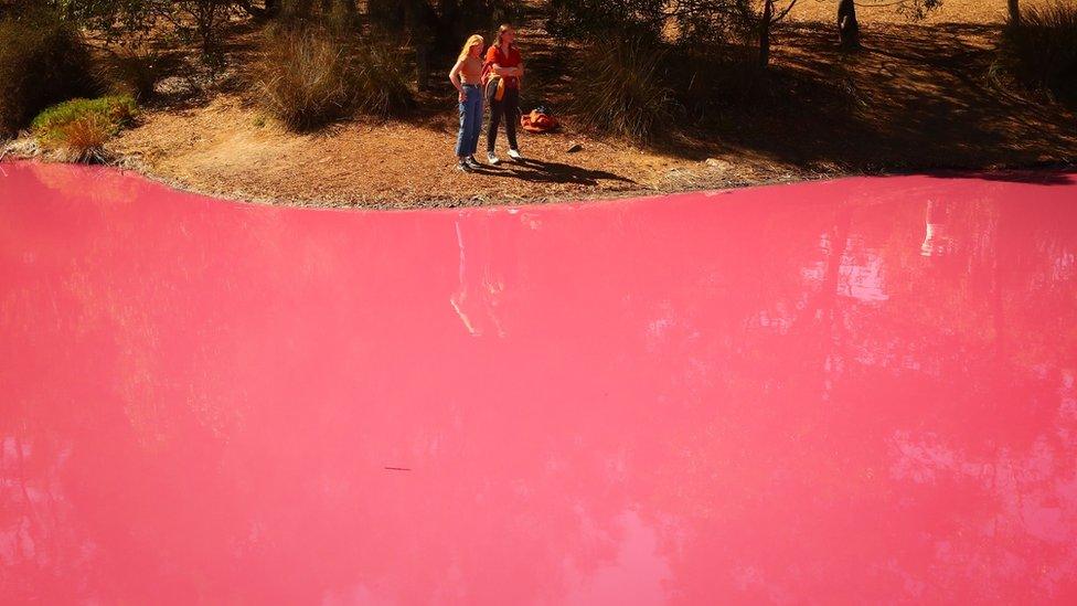 People take photographs of the pink lake at Westgate Park on March 27, 2019 in Melbourne, Australia.