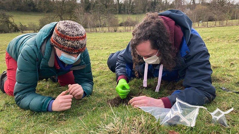 researchers look for pieces in field