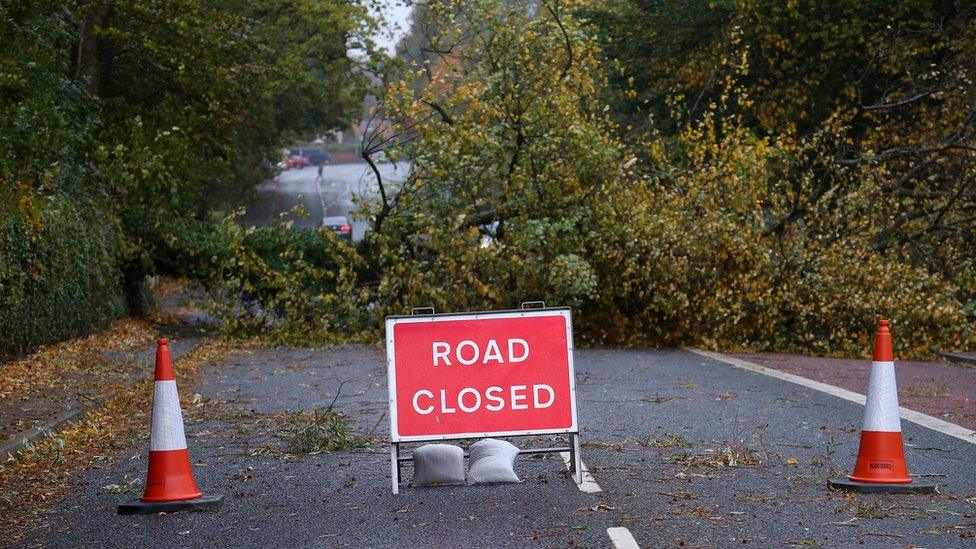 A fallen tree closes the Malone Road in Belfast