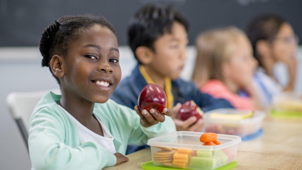 Child holding apple from packed lunch.