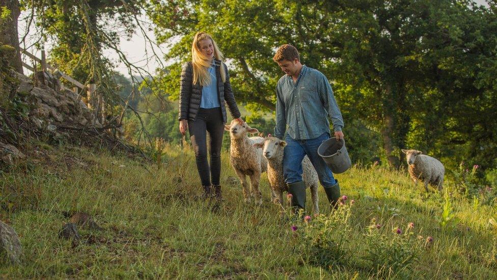 Lewis and Flora tending their sheep