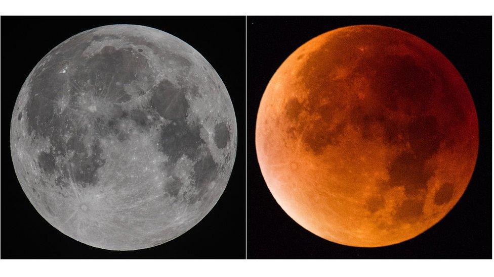 Super moon alongside a super blood Moon