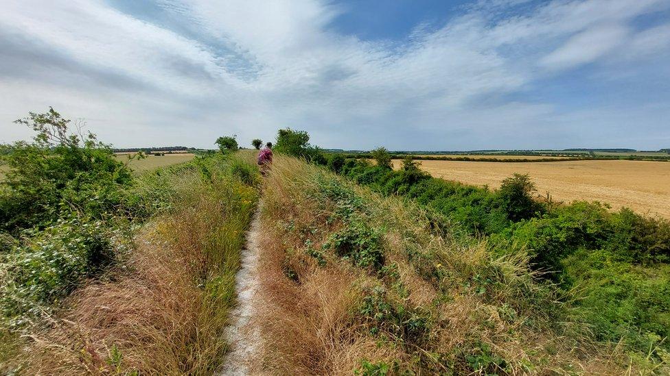 Fleam Dyke