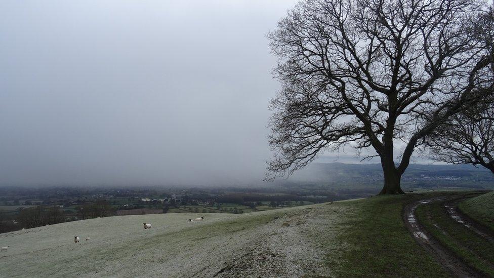 Light snow on the footpath above Llandyrnog, Denbighshire, captured by Liz Bryan.