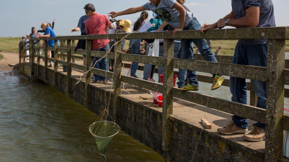 People standing on a bridge in Walberswick, Suffolk.