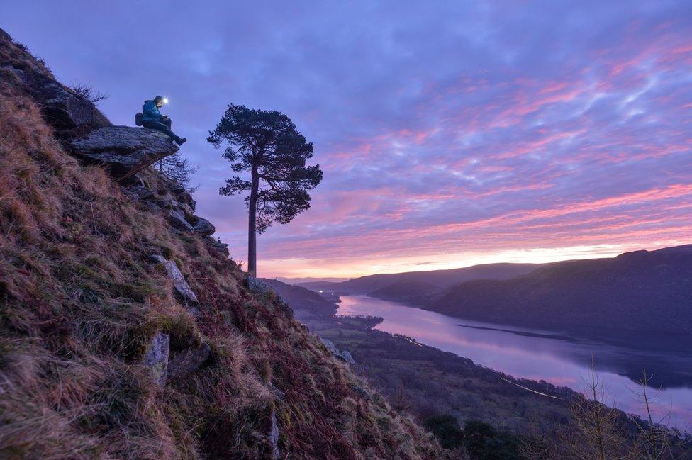 Harriett working at Glencoyne Pine