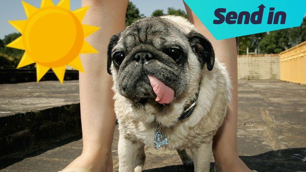 hotpug
