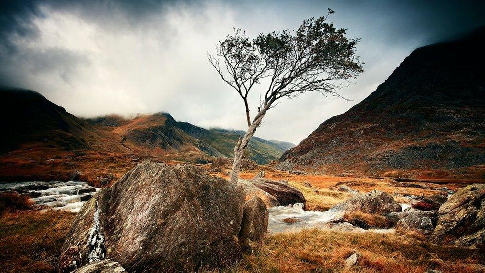 Afon Bochlwyd a Dyffryn Ogwen