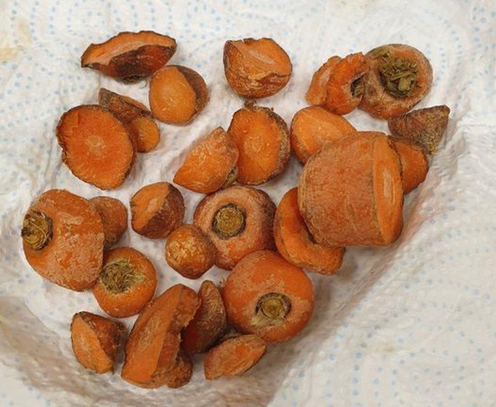 Carrots on a kitchen tissue paper