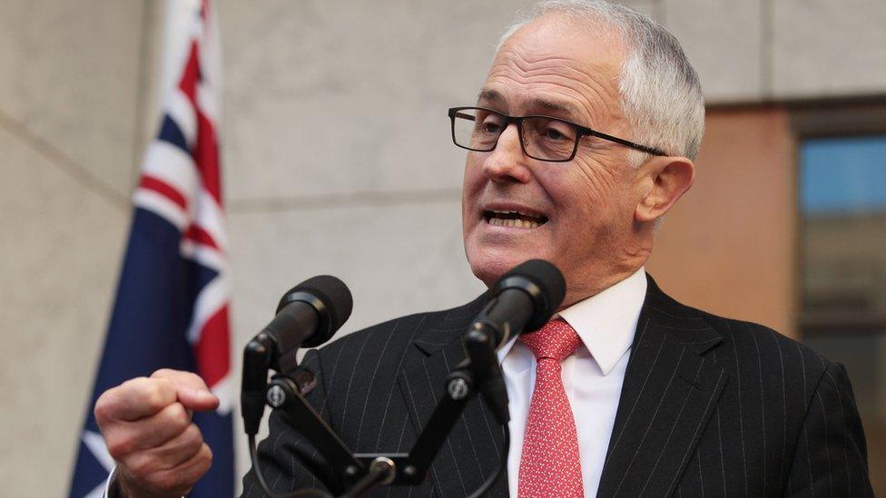 Malcolm Turnbull accepted Ms Ley's resignation on Friday